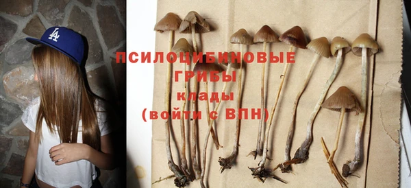 хмурый Горнозаводск